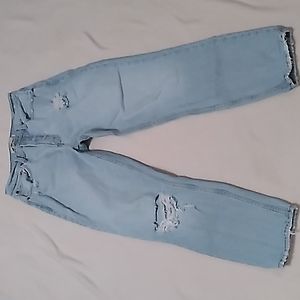Abercrombie & Fitch The Mom High Rise Jeans Size 27/4R